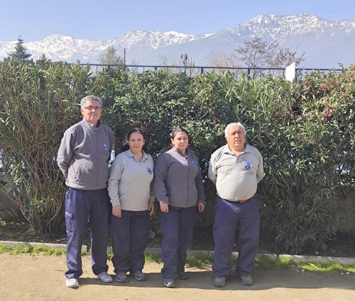 Auxiliares-3